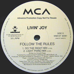 Livin' Joy : Follow The Rules (Exclusive Mixes From Visnadi & Satoshi Tomiie) (2x12", Promo)
