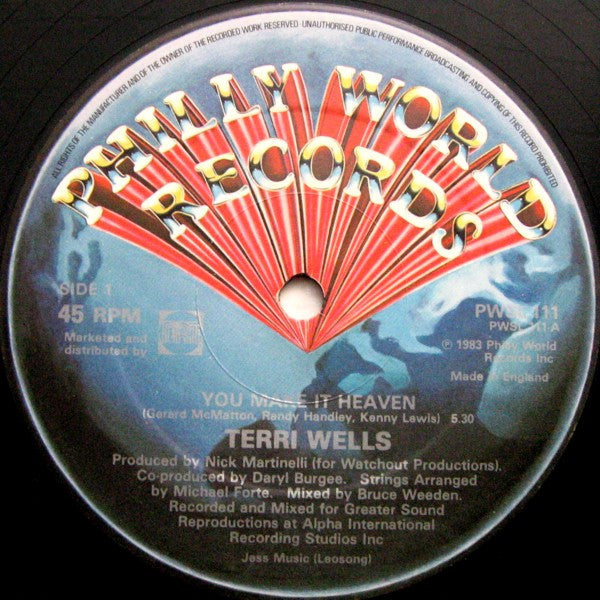 Terri Wells : You Make It Heaven (12")