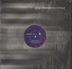 Various : Global Guidance 3 (12")