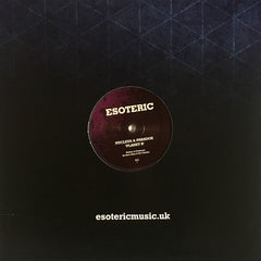 Nucleus & Paradox : Planet R / T Breaks In (12", Pur)