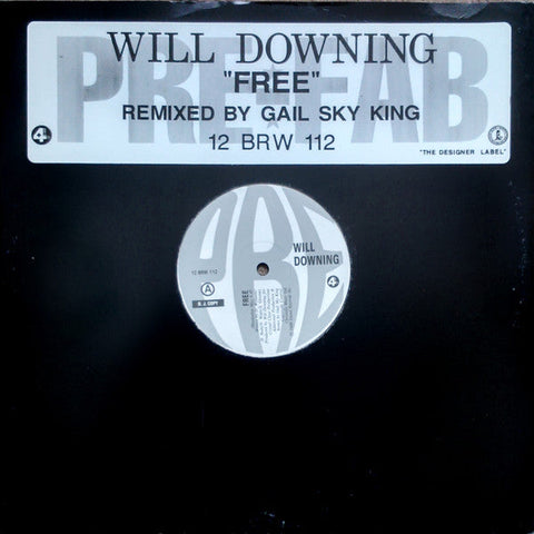 Will Downing : Free (12", Promo)