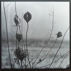 Recondite : Placid (2xLP, Album)