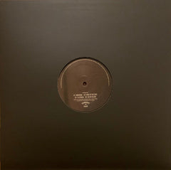 Ancestral Voices : Night Of Visions LP Sampler (12", EP, Smplr, Dar)