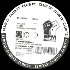 Silicon Chip : Stay (12")