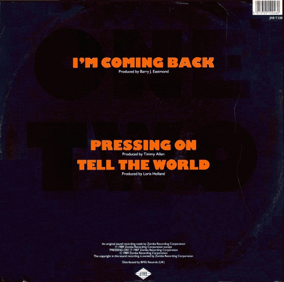 Vanessa Bell Armstrong : I'm Coming Back (12")