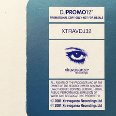 DJ Garry : Dream Universe (12", Promo)