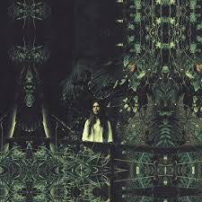 Sarah Williams White : Of The New World (LP, Album)