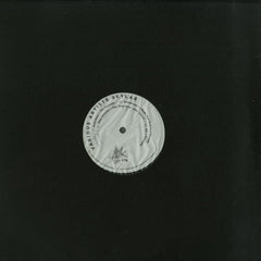 Various : Skylab (12", Ltd)