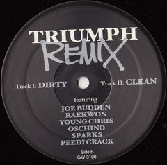 Various : Flatline (Remix) / Triumph (Remix) (12")