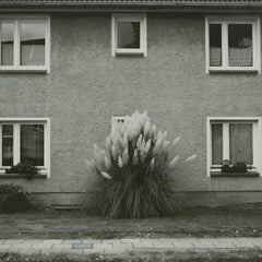 Timboletti : Hintersee (12")