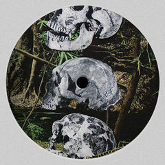 Personal Mythologies : Los Dinosaurios (12", EP)