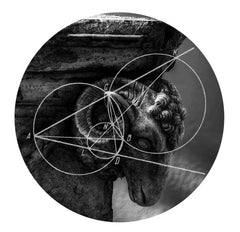 Sepia (5) : Laid To Rest / Remember (12", Ltd)