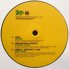 Various : The Future Sound Of Brazil (12")