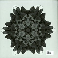 Moi (10) : 05 (12", 180)