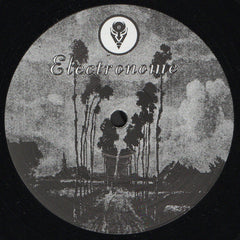 Electronome : No Landscape (12", RE, RM)