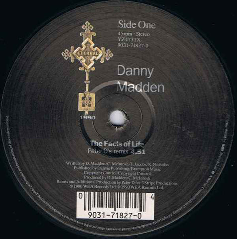 Danny Madden : The Facts Of Life (Presenting The Remix) (12")