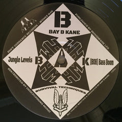 Bay B Kane : Survival Techniques Vol. 1 (2x12", RE)