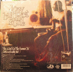 Low Budget Soul : She Won't Let The Summer In (12")