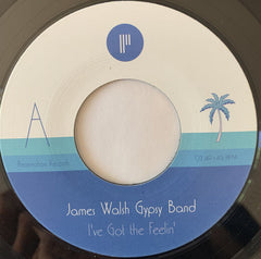 James Walsh Gypsy Band : I've Got The Feelin' / Caves Of Altamira (7", Single, Ltd)