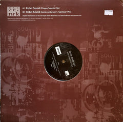 Jamie Anderson : Rebel Sound (Part Two) (Floppy Sounds & Jamie Anderson Mixes) (12")