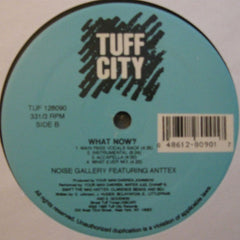 Noise Gallery & Anttex : Can't Keep Doin' That / What Now (12")