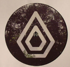 Roy Green & Protone* : Why Don't You EP (12", EP)