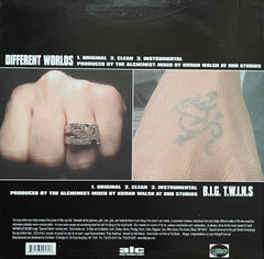Twin Gambino And Alchemist - Different Worlds ALC005