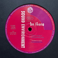 Sound Environment - Natural High (The Remixes) 12HSD10 (12", Pin) (Near Mint (NM or M-))