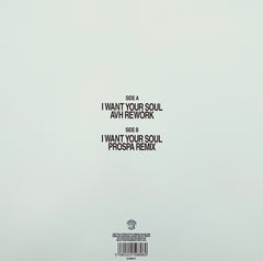 Armand Van Helden – I Want Your Soul