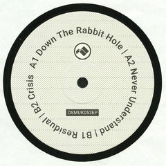 Overlook (2) : Never Understand EP (12", EP)