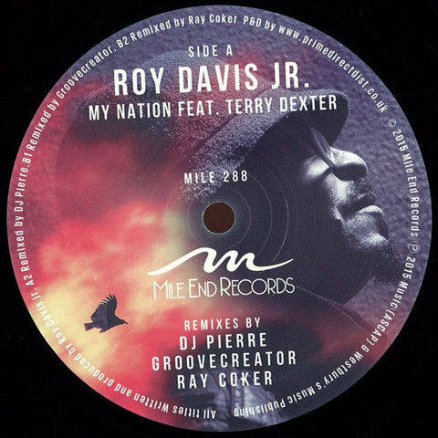 Roy Davis Jr. Feat. Terry Dexter ‎– My Nation Mile End Records ‎– MILE 288