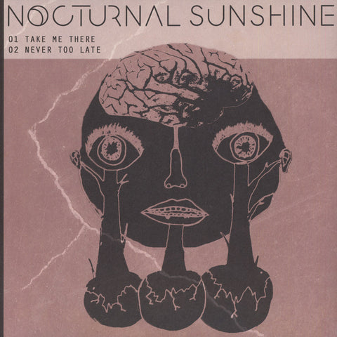 Nocturnal Sunshine - Take Me There 12" IAMME008V I/AM/ME