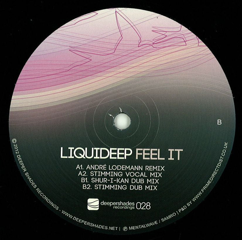 Liquideep ‎– Feel It 12" Deeper Shades Recordings ‎– DSOH028