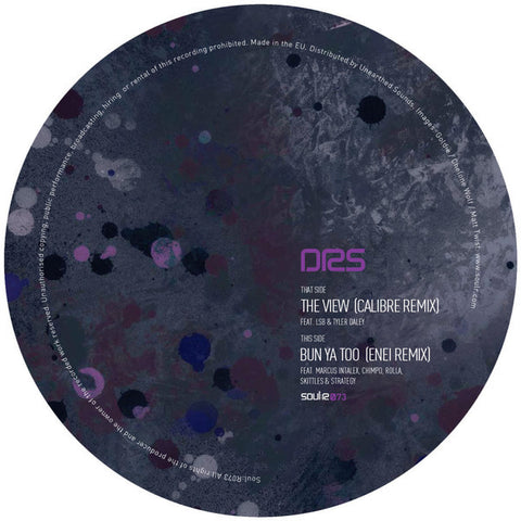 DRS ‎– The View / Bun Ya Too Remixes Soulr ‎– soul:r073