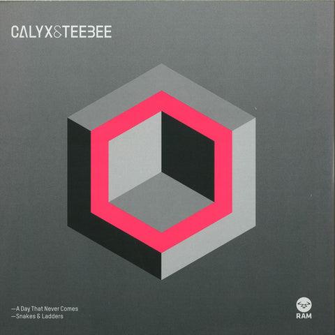 Calyx & Teebee - A Day That Never Comes 12" RAM Records RAMM181