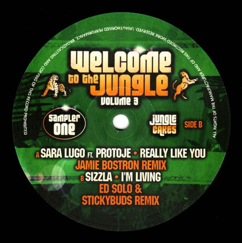 Sara Lugo / Sizzla ‎– Welcome To The Jungle Volume 3 Sampler One - Jungle Cakes ‎– JC 042