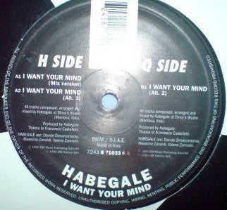 Habegale ‎– I Want Your Mind 12" Dance Factory ‎– 724387103368