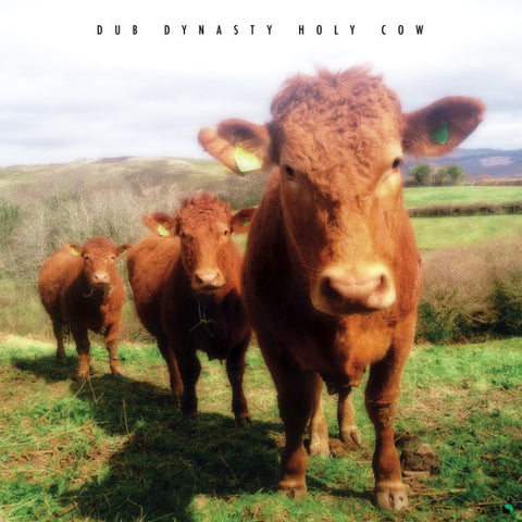 Dub Dynasty ‎– Holy Cow - Steppas ‎– ASLP005