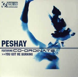 Peshay Featuring Co-Ordinate - You Got Me Burning / Fuzion 12" Cubik Music Productions CUBIKSAMP001