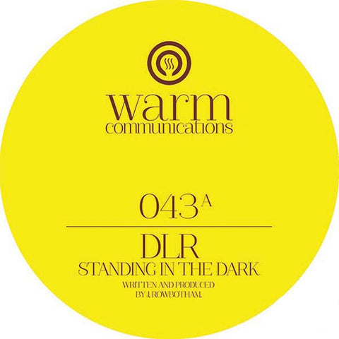 DLR, M-Zine & Scepticz ‎– Standing In The Dark 12" Warm Communications ‎– WARM043