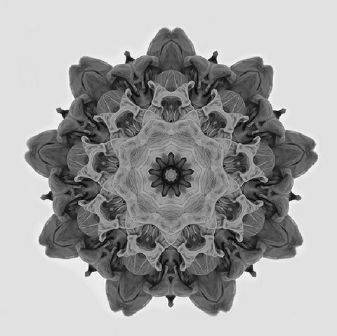 Moi - 05 12" MOi ‎– MOI005