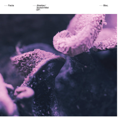 Facta ‎– Alsatian / Scotch Mist - Bloc ‎– BLOC005