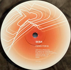 Seba ‎– Steel / Piemo For B Paradox Music ‎– PM004