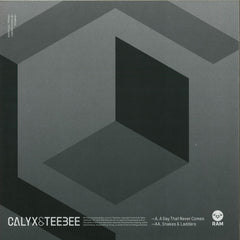 Calyx & Teebee - A Day That Never Comes 12" RAM Records RAMM181