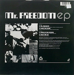 Mother Earth - Mr. Freedom 12" Acid Jazz JAZID 62T
