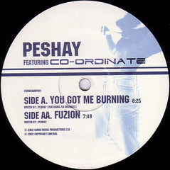 Peshay Featuring Co-Ordinate - You Got Me Burning / Fuzion 12" Cubik Music Productions CUBIKSAMP001