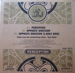 Backyard Bangers - Perception 12" Transistor Music TRM-101