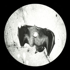 Drøne ‎– Reversing Into The Future - Pomperipossa Records ‎– PRLP2