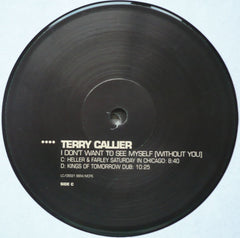 Terry Callier - I Don't Want To See Myself (Without You) 2x12" Talkin' Loud TKDJ63/64