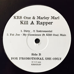 KRS-1, Marley Marl, Fat Joe - Amsterdam / Kill A Rapper / My Conscience 12" PROMO KRS2DJP